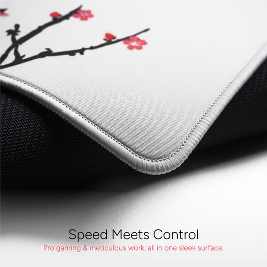 Samurai cherry blossom